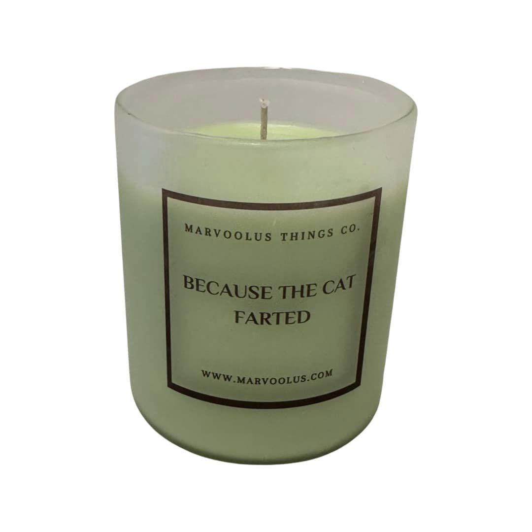 Because The Cat Farted