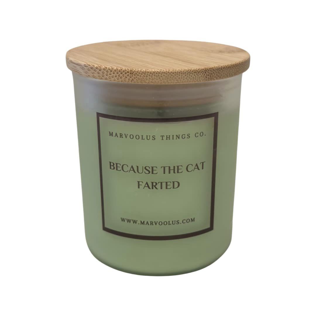 Because The Cat Farted