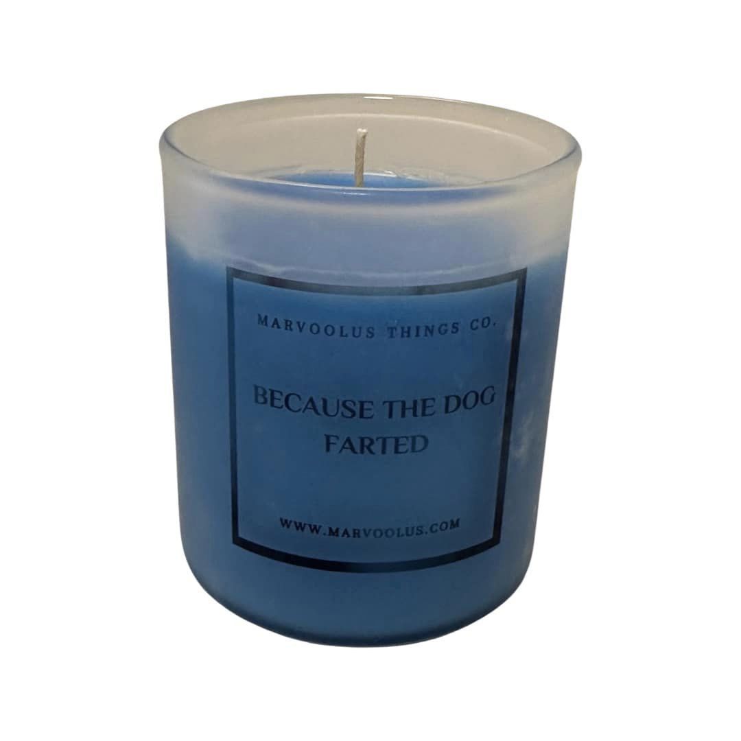 Because The Dog Farted