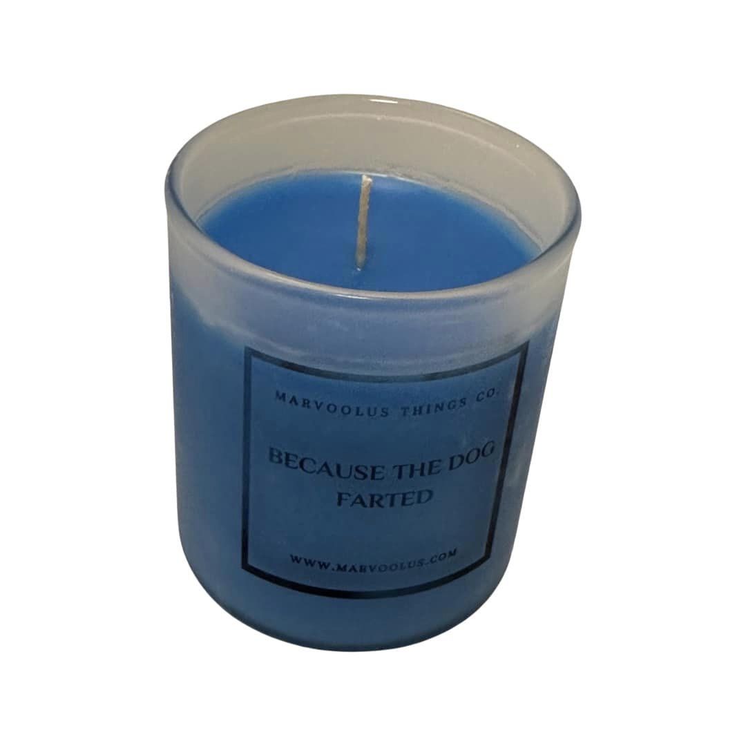 Because The Dog Farted