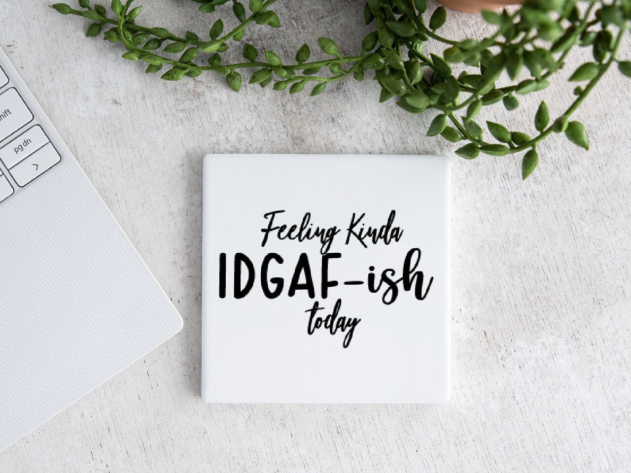 Feeling Kinda IDGAF-Ish Today - Coaster