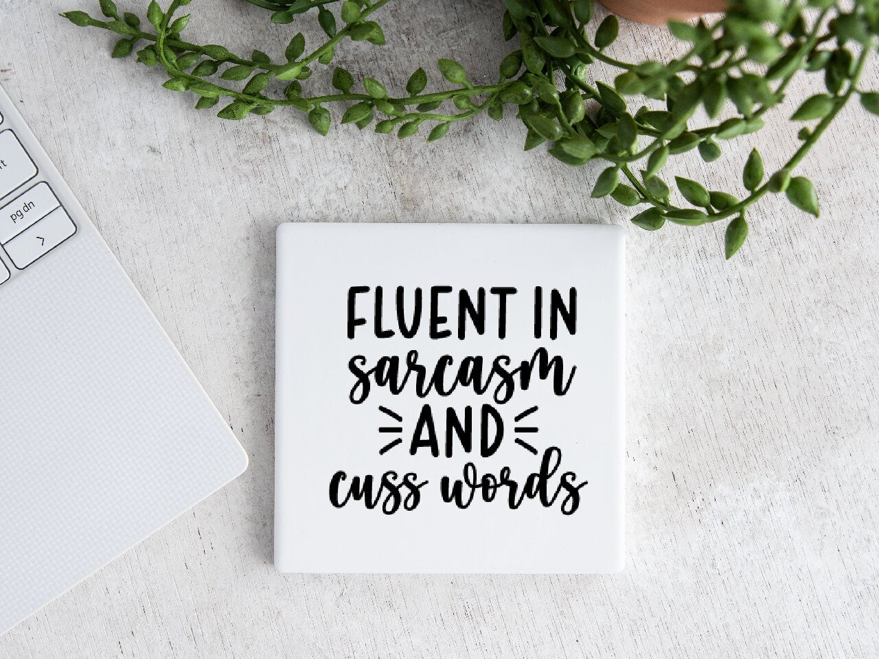 Fluent In Sarcasm And Cuss Words - Coaster