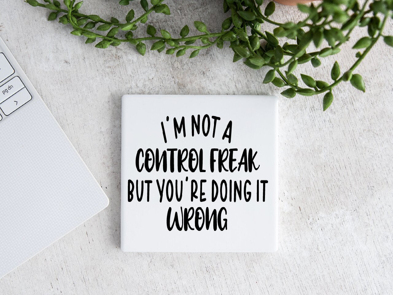 I'm Not A Control Freak, But You're Doing it Wrong - Coaster