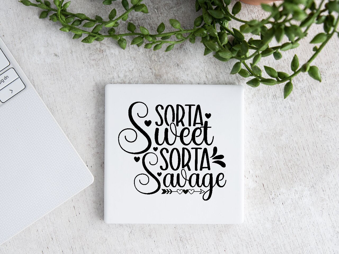 Sorta Sweet, Sorta Savage - Coaster