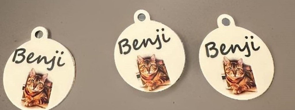 Personalized Photo Pet ID Tags