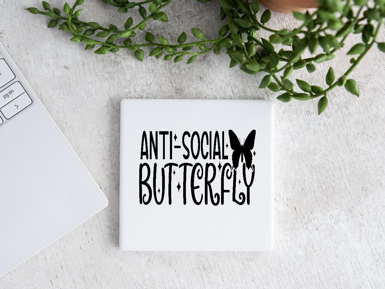 Anti-Social Butterfly - Coaster