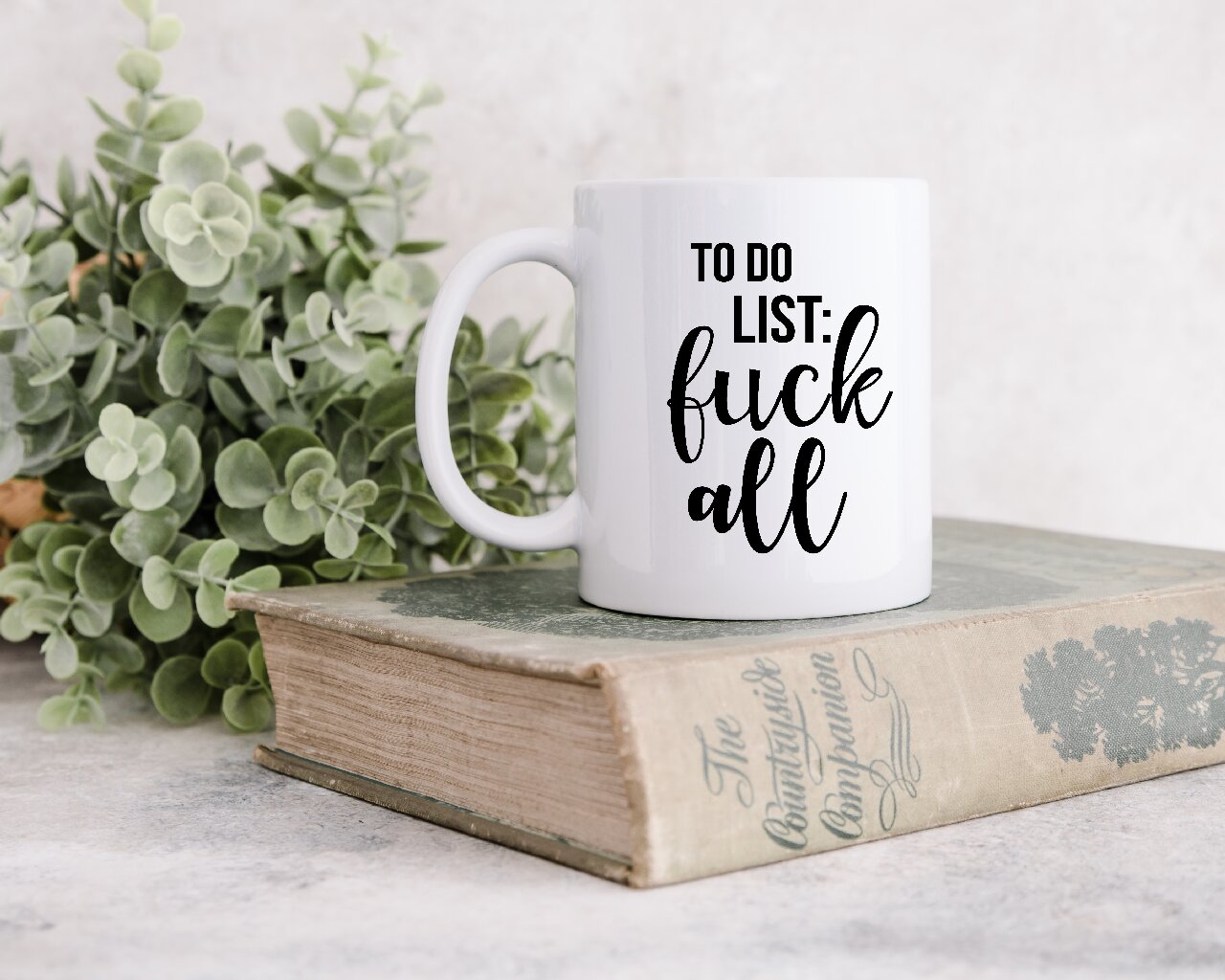 To Do List: F*ck All - Coffee Mug