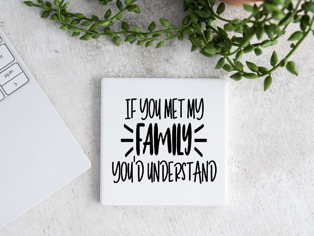 If You Met My Family You'd Understand - Coaster