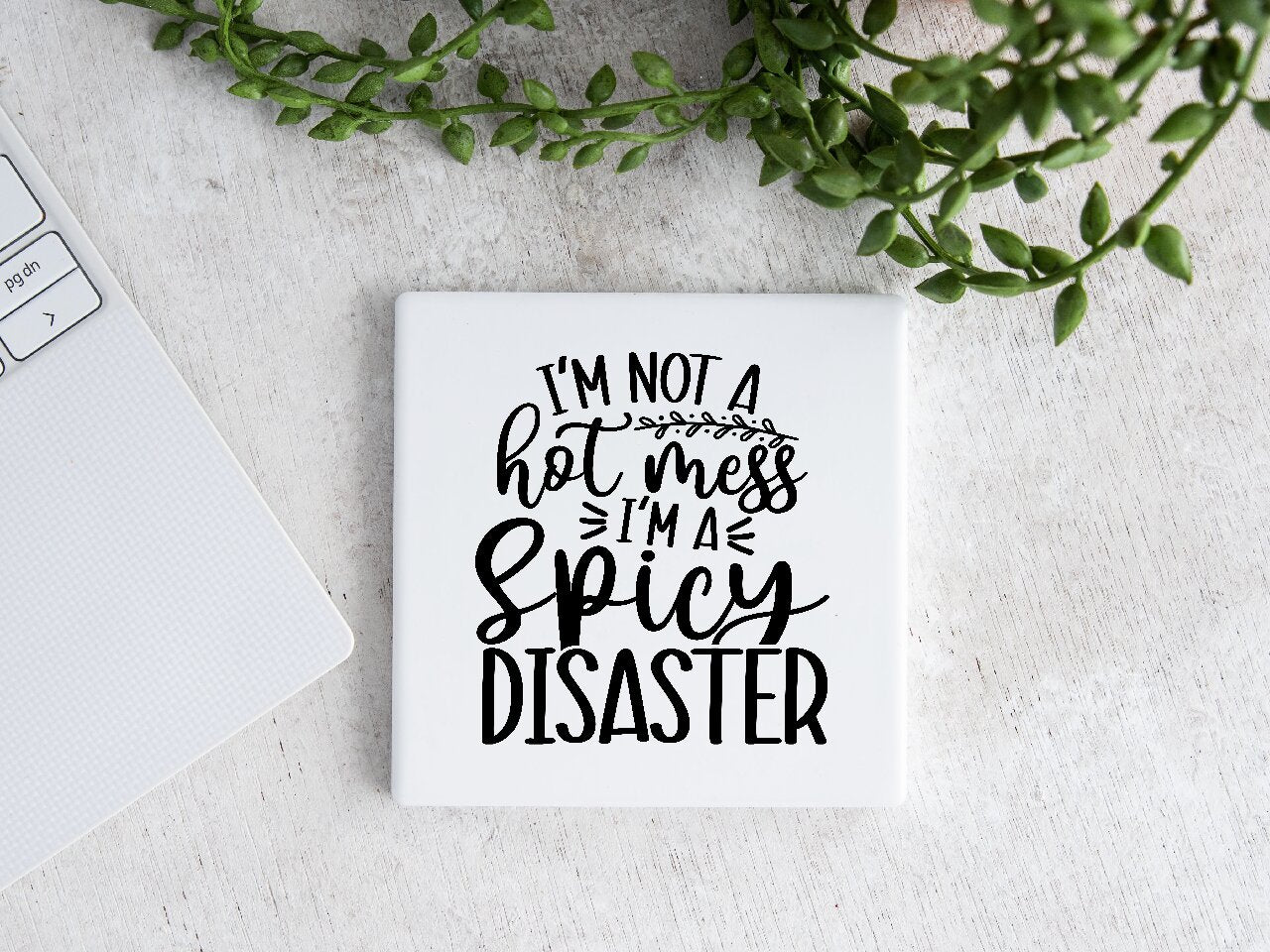 I'm Not A Hot Mess, I'm A Spicy Disaster - Coaster