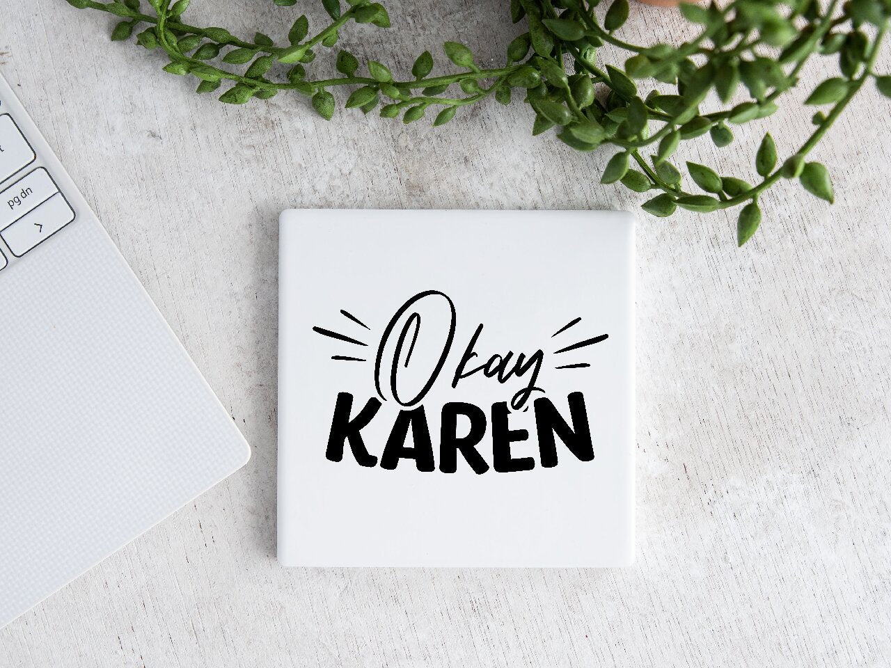 Okay Karen - Coaster