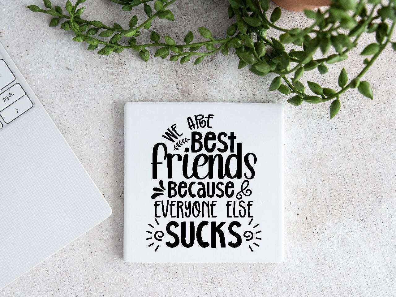 We Are Best friends Because Everyone Else Sucks - Coaster